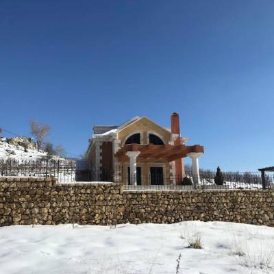 26734228 1465981403499912 7741674767744262985 N